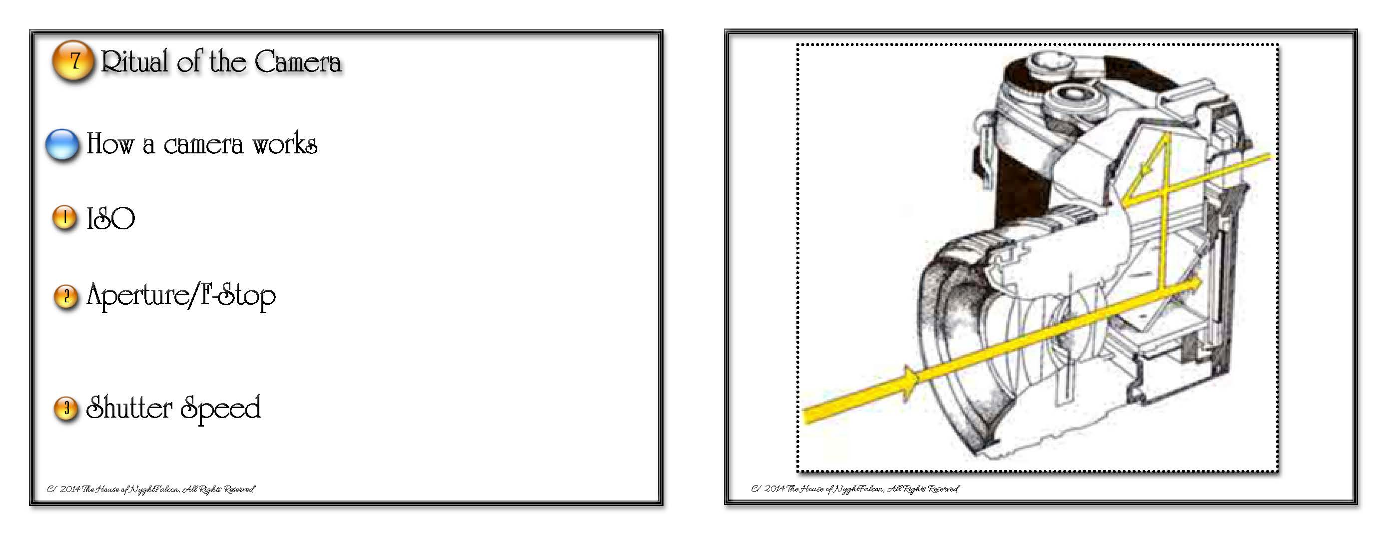 Charleston Mingles - Boot Camp 1: See the World Again. For the First Time. - Image 3