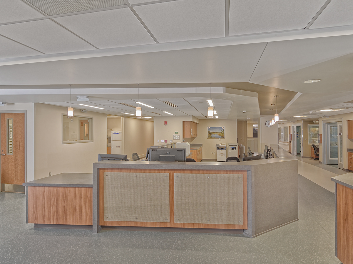 C. 2017 The House of NyghtFalcon All Rights Reserved