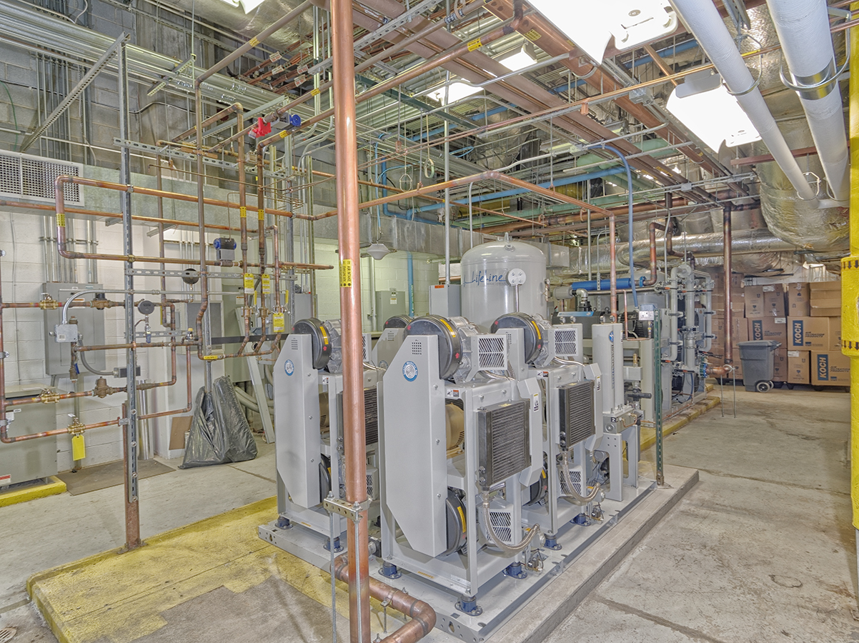 C. 2017 The House of NyghtFalcon All Rights Reserved