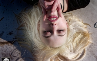 C. 2018 The House of NyghtFalcon